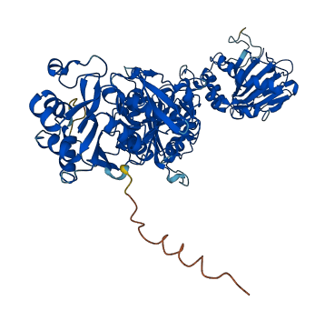 PLOD1 3D structure