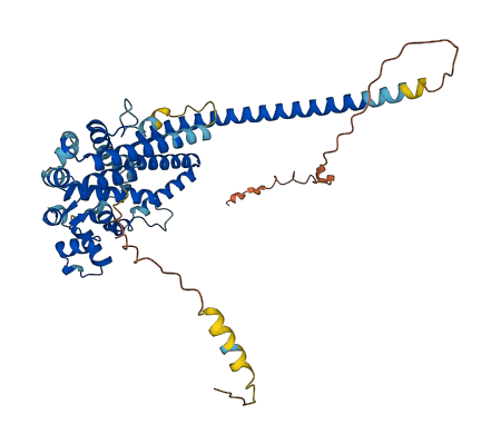 NUCB1 3D structure