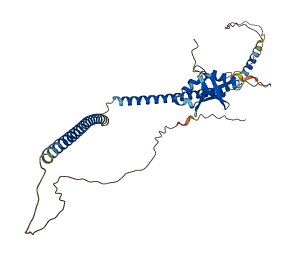 RASSF7 3D structure