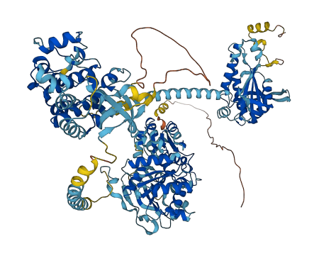 GUCY2D 3D structure