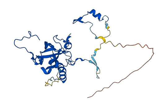 RPL6 3D structure