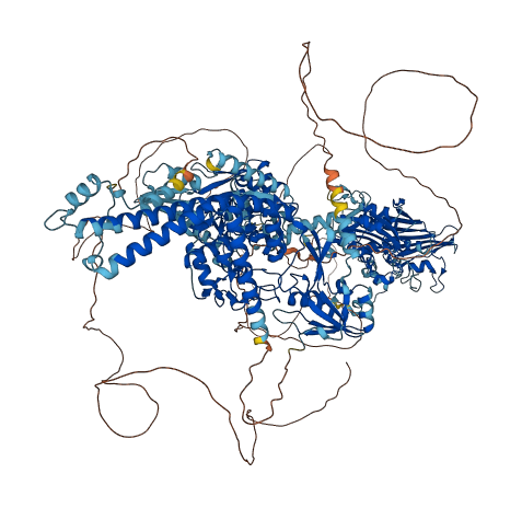 TOP2B 3D structure