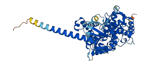 CYP4A11 3D structure