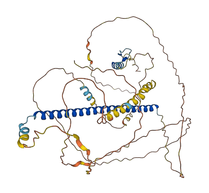 CREB5 3D structure