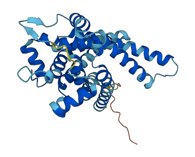 SLC25A11 3D structure