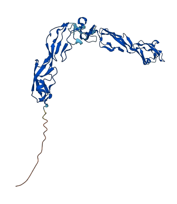 CFHR3 3D structure