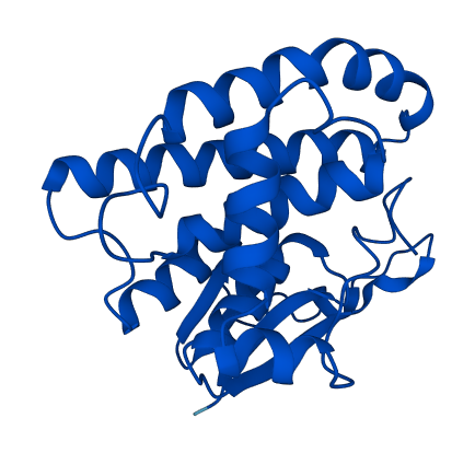 GSTM4 3D structure