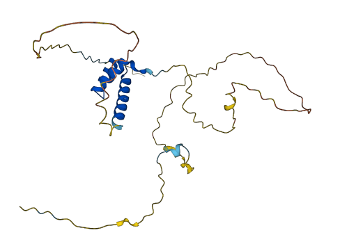 HHEX 3D structure