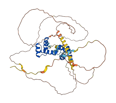 POU3F1 3D structure