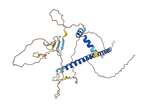 CREM 3D structure