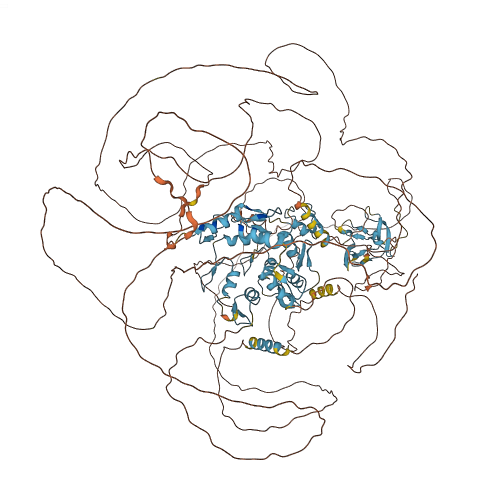 MECOM 3D structure