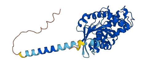 GNA12 3D structure