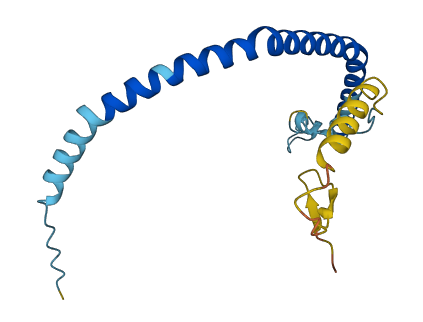 CAV1 3D structure