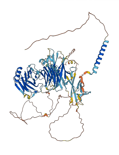 TGFBR3 3D structure