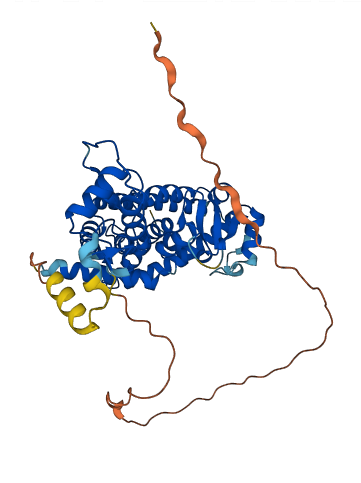 PPARD 3D structure