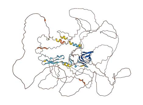 CENPC 3D structure