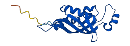 PTS 3D structure