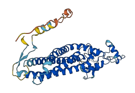 ROM1 3D structure