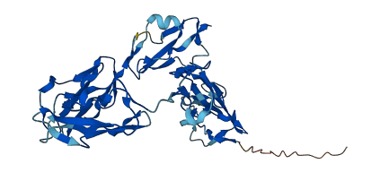 CFHR1 3D structure