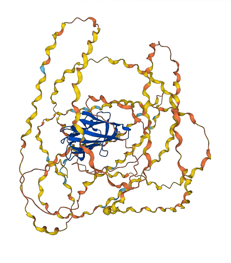 COL10A1 3D structure