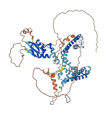KCNC4 3D structure