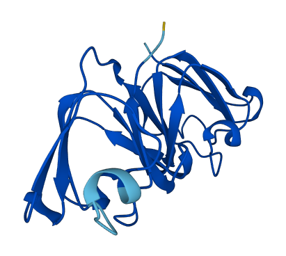 Cryge 3D structure