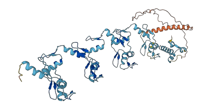 ZNF85 3D structure