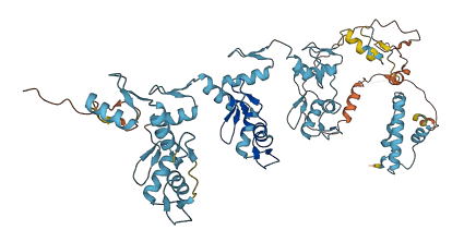 ZNF92 3D structure