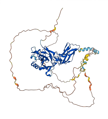 RELA 3D structure