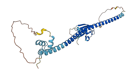 UBXN1 3D structure