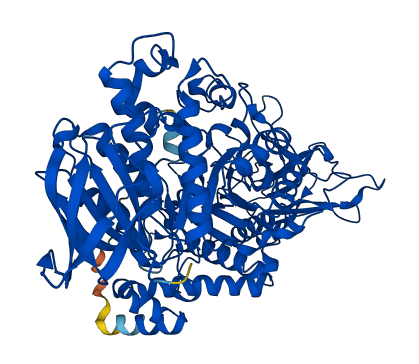 GBE1 3D structure