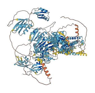 ATP7A 3D structure