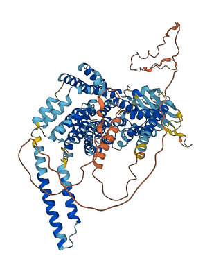 OCA2 3D structure