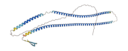 KRT17 3D structure