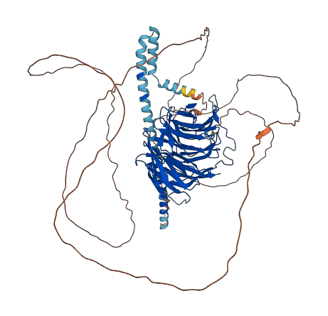 TLE1 3D structure