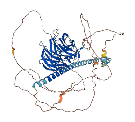 TLE2 3D structure
