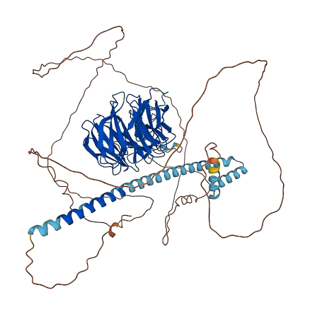 TLE4 3D structure