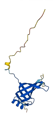SSBP1 3D structure