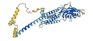 CHRNE 3D structure
