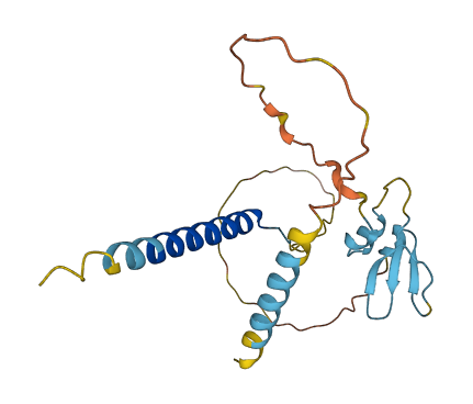 CD164 3D structure