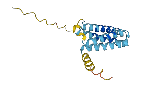 PLP2 3D structure
