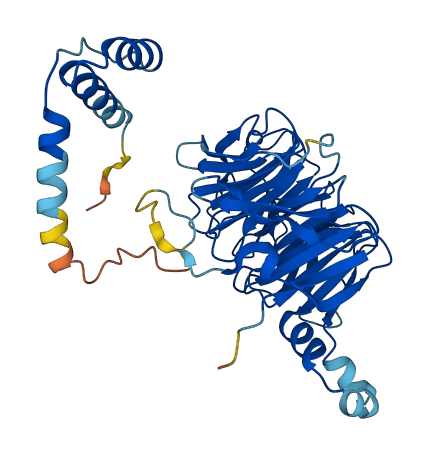 CSTF1 3D structure