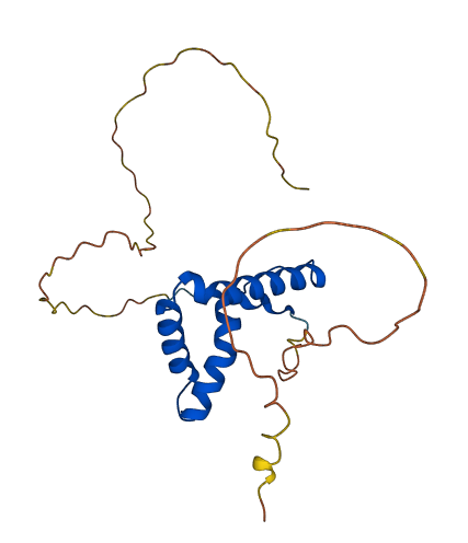 SRY 3D structure