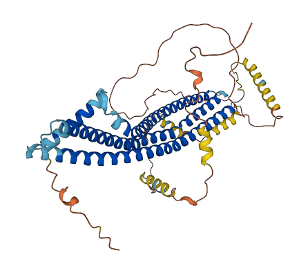 ICA1 3D structure