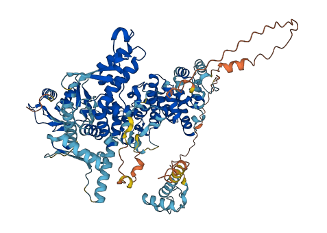 UBE3A 3D structure