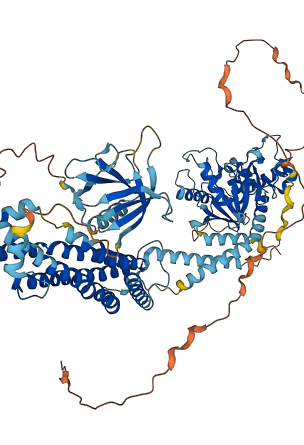 DNM1 3D structure