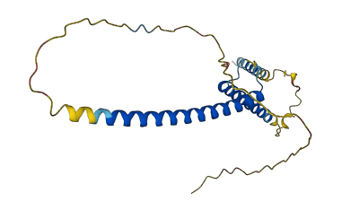 MXD1 3D structure