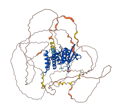 PTPN12 3D structure