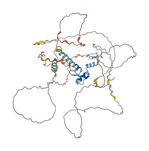 EGR4 3D structure