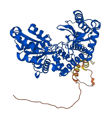 GAD2 3D structure